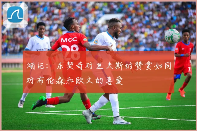 湖记：东契奇对里夫斯的赞赏如同对布伦森和欧文的喜爱