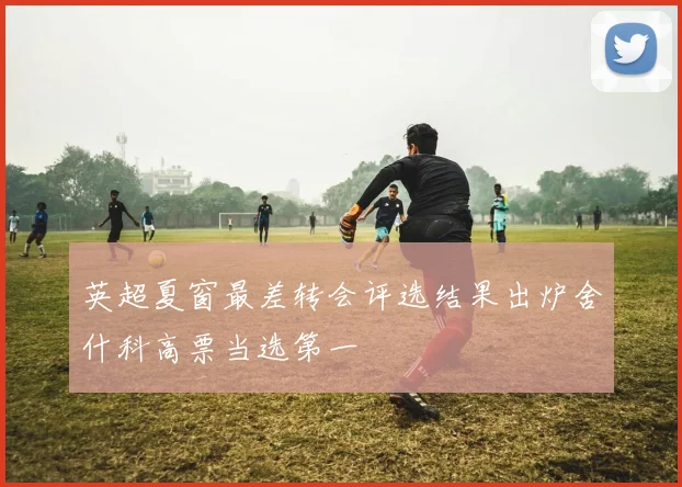英超夏窗最差转会评选结果出炉舍什科高票当选第一