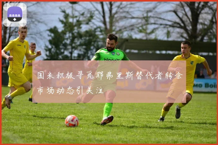 国米积极寻觅邓弗里斯替代者转会市场动态引关注